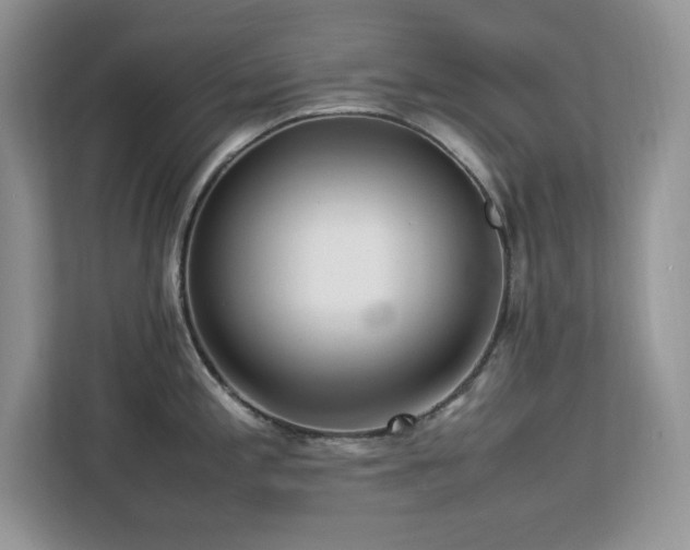 X0000113071197200908281148