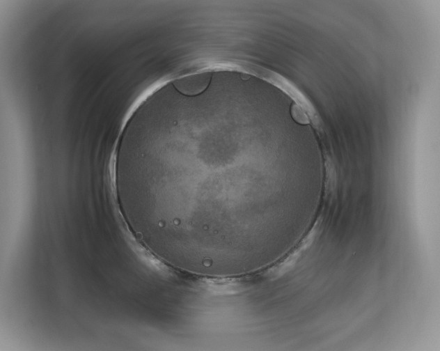 X0000113071198200908281148