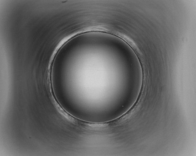 X0000113071200200908281148