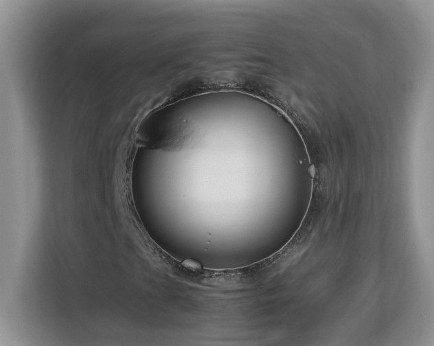 X0000113071201200908281147