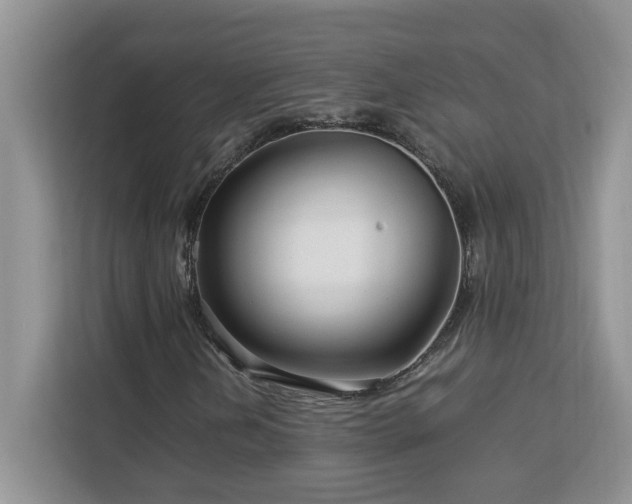 X0000113071202200908281147