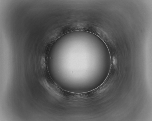 X0000113071203200908281147