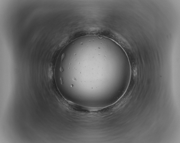 X0000113071204200908281147