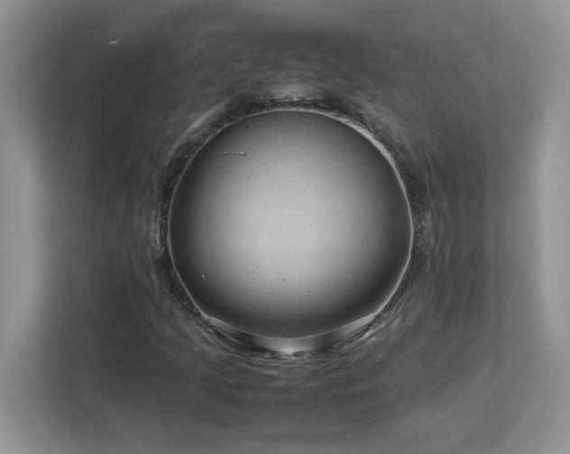 X0000113071205200908281147