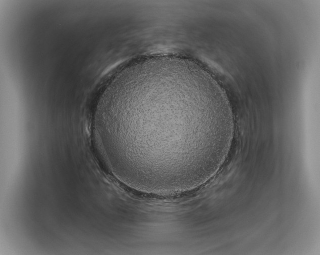 X0000113071206200908281147
