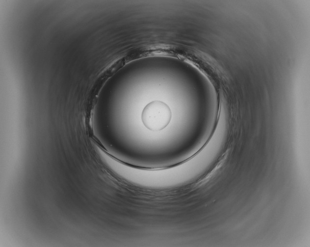 X0000113071209200908281147