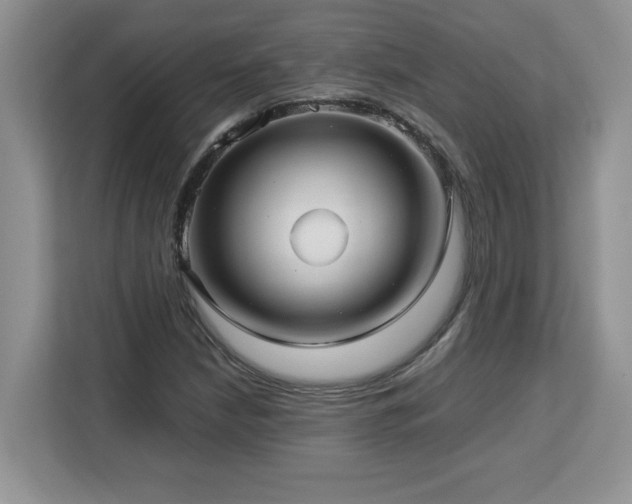X0000113071210200908281147