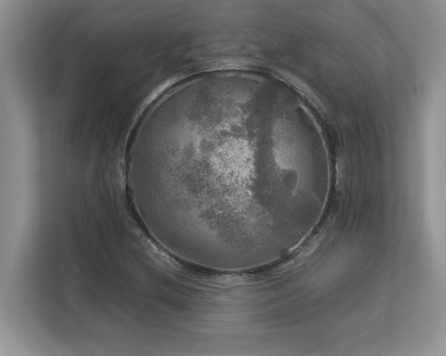 X0000113071212200908281147