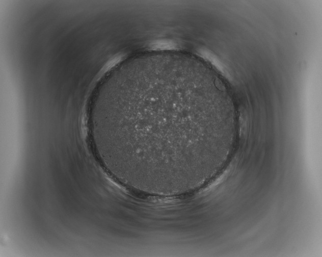 X0000113071213200908281147