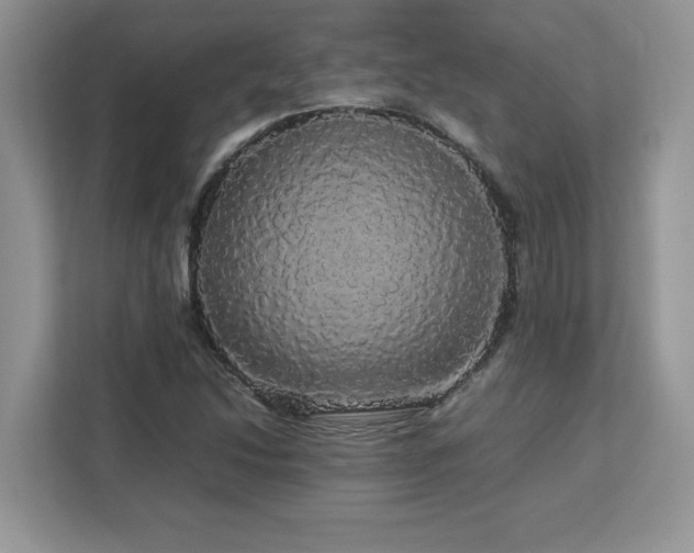 X0000113071214200908281147