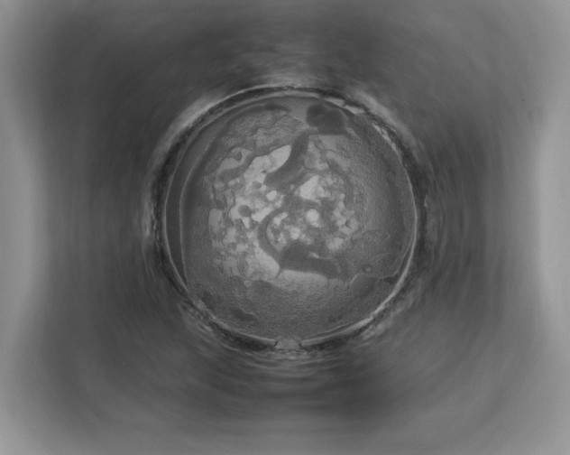 X0000113071215200908281147