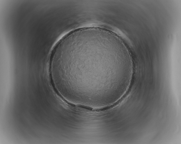 X0000113071216200908281147
