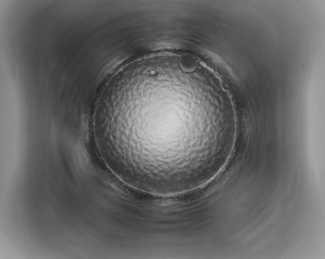 X0000113071217200908281147
