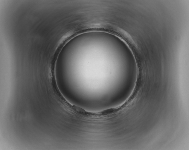 X0000113071218200908281147