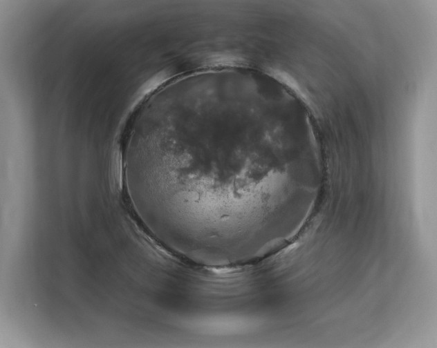 X0000113071219200908281147