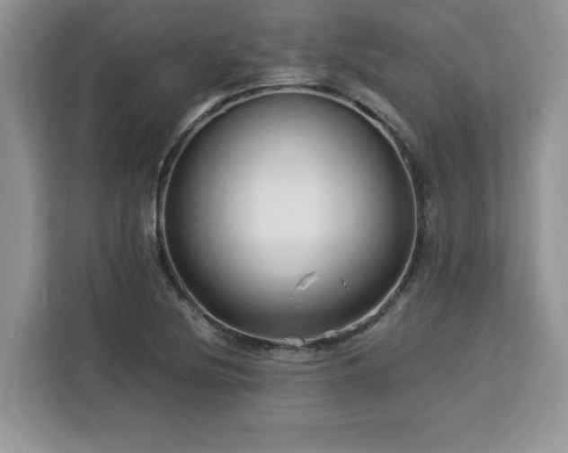 X0000113071220200908281147