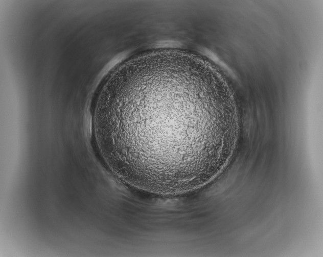 X0000113071221200908281147