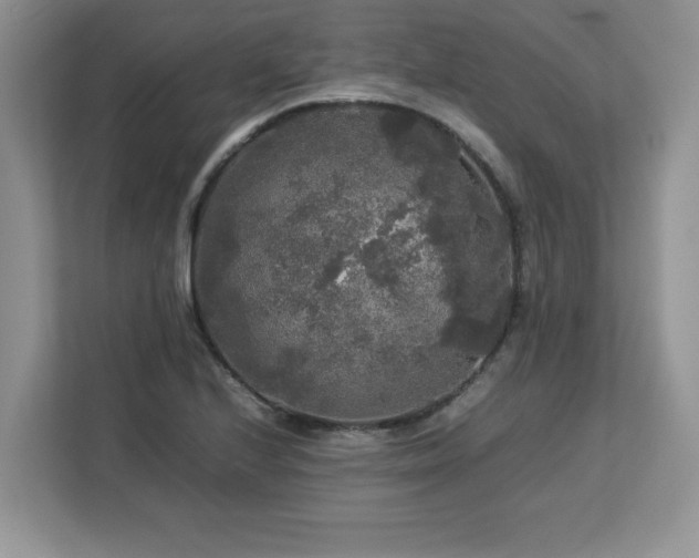 X0000113071224200908281147