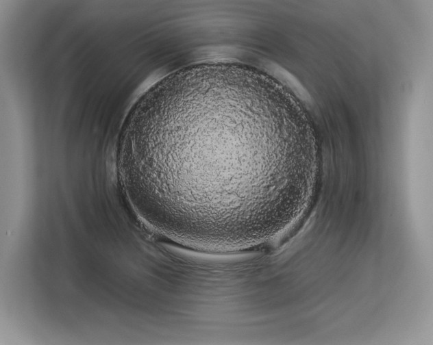X0000113071226200908281148