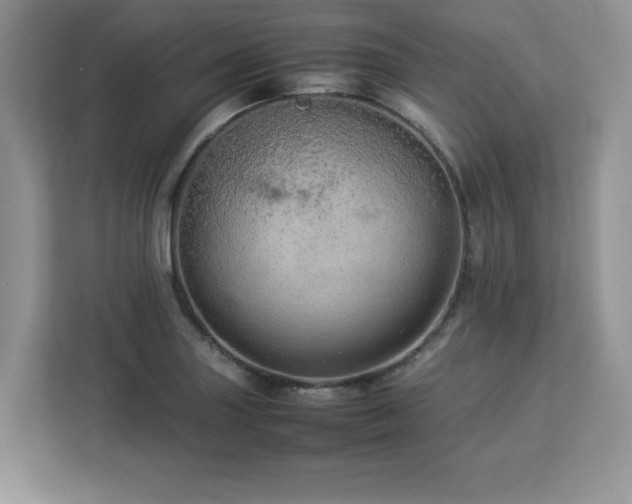 X0000113071227200908281148