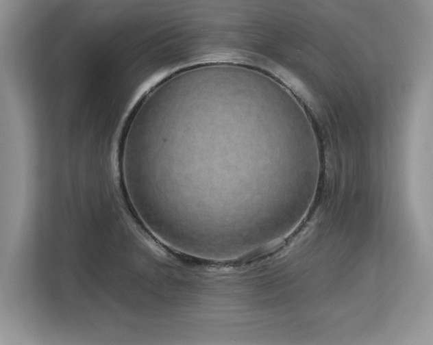 X0000113071230200908281148
