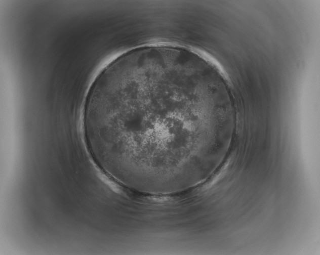 X0000113071231200908281148