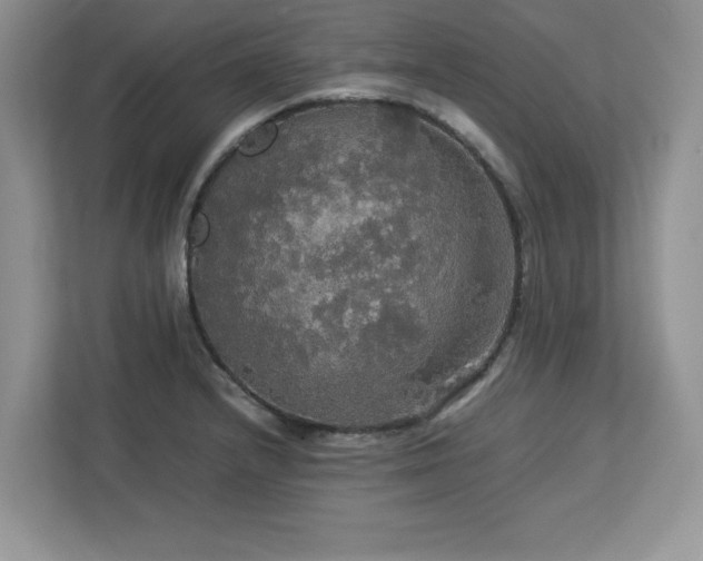 X0000113071232200908281148