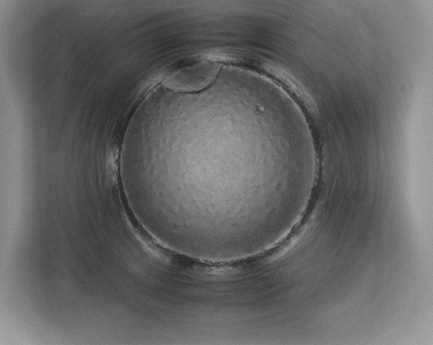 X0000113071233200908281148