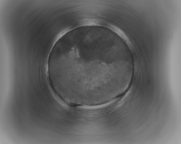 X0000113071234200908281148