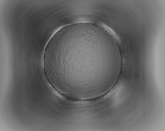 X0000113071236200908281148