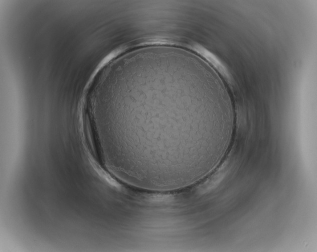 X0000113071238200908281148