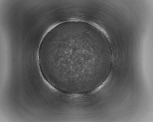 X0000113071239200908281148