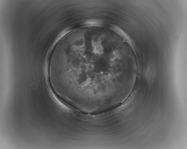 X0000113071243200908281148