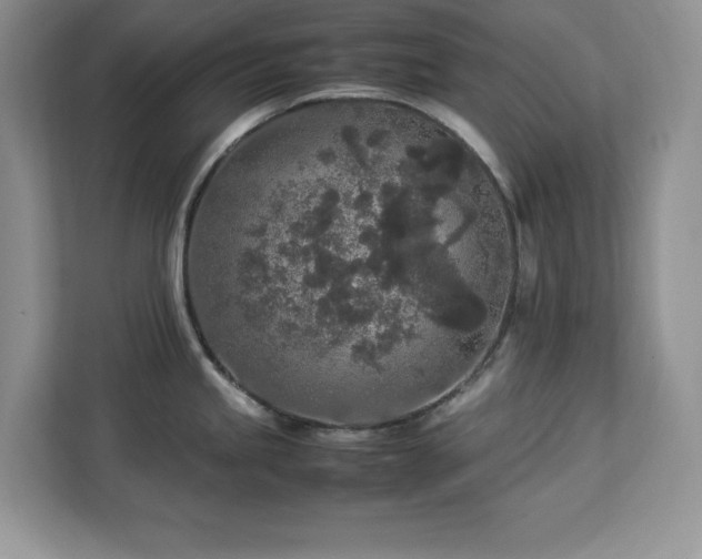 X0000113071245200908281148