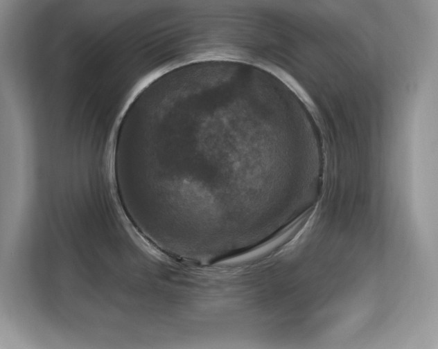 X0000113071246200908281148