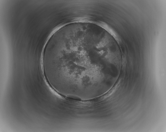 X0000113071247200908281148