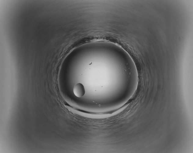 X0000113071249200908281147