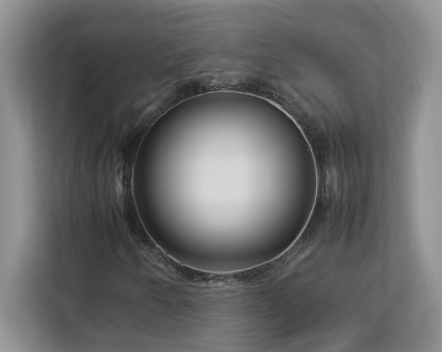 X0000113071250200908281147