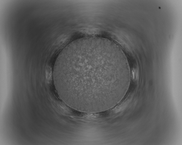 X0000113071251200908281147