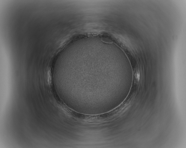 X0000113071252200908281147