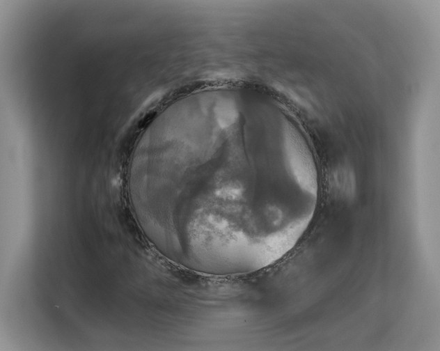 X0000113071254200908281147