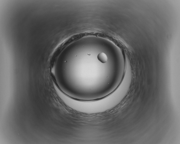 X0000113071256200908281147