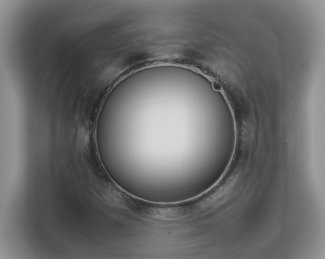 X0000113071257200908281147