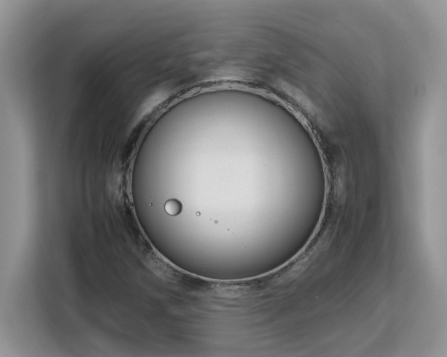 X0000113071258200908281147