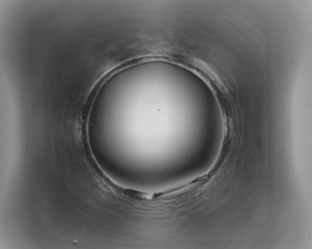 X0000113071260200908281147