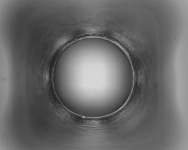 X0000113071261200908281147
