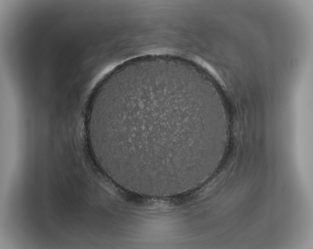 X0000113071263200908281147