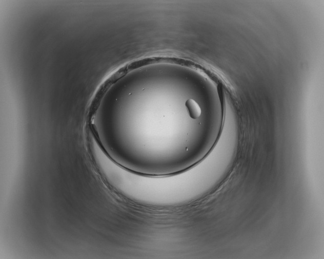 X0000113071264200908281147