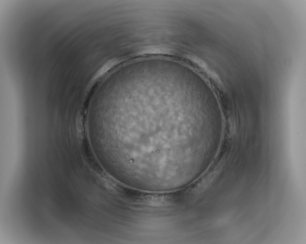 X0000113071266200908281147