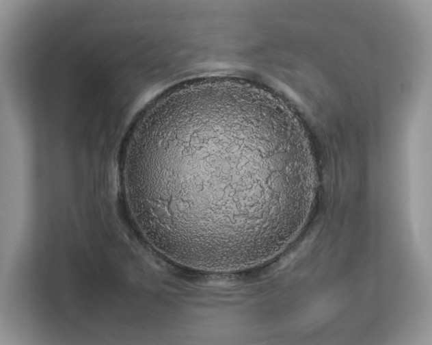 X0000113071267200908281147